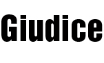 Giudice logo лого